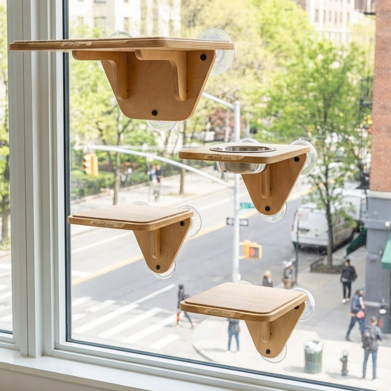 Cat Active Feeding System